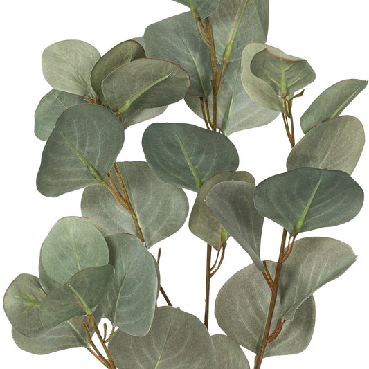 Blume Eukalyptuszweig grün