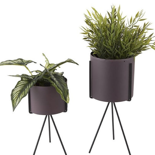 Pflanzentopf-Set - Present Time