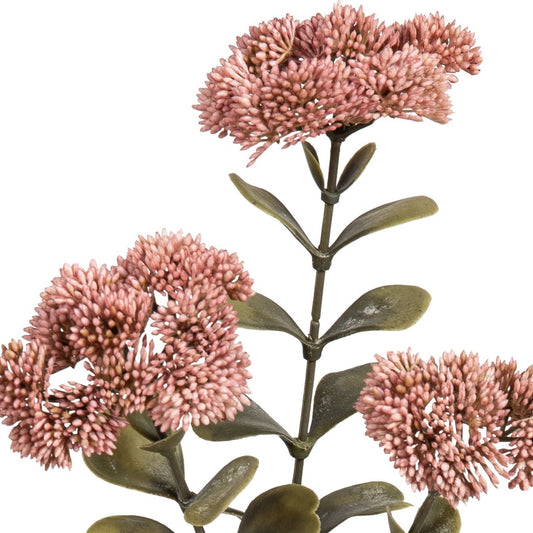 Blume Sedumzweig altrosa
