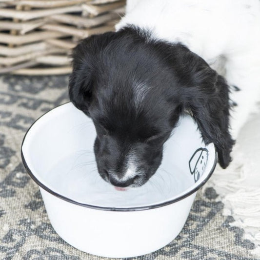 Fressnapf für Hunde klein Emaille - Ib Laursen