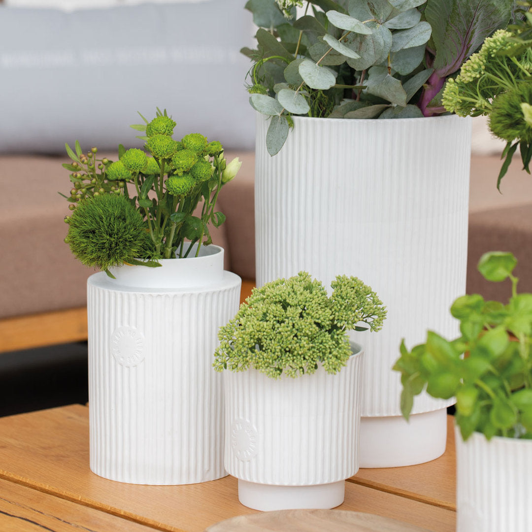 Hausfreunde Vase "No Rain" - Räder