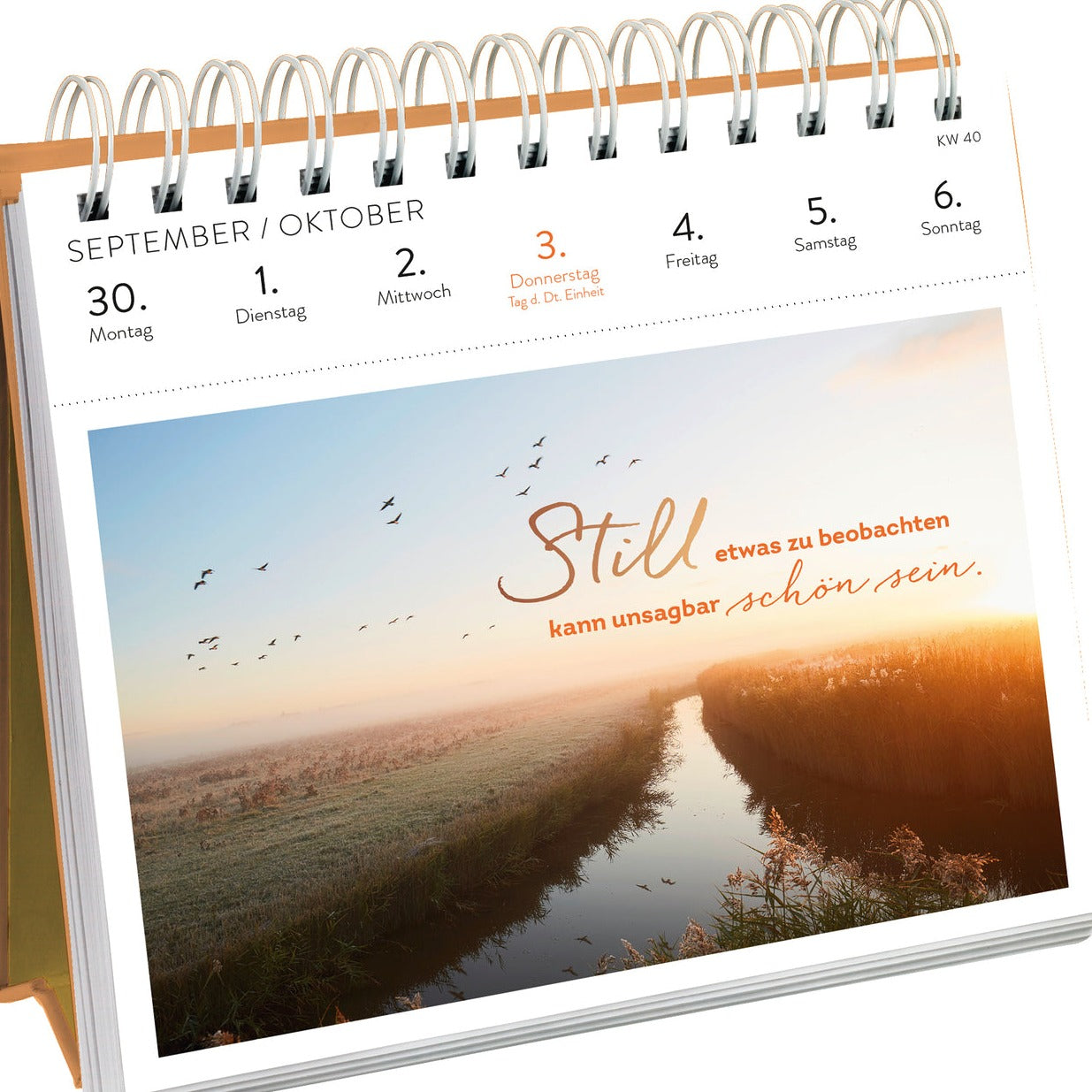 Postkartenkalender 2024: Der Moment ist dein Leben - Groh