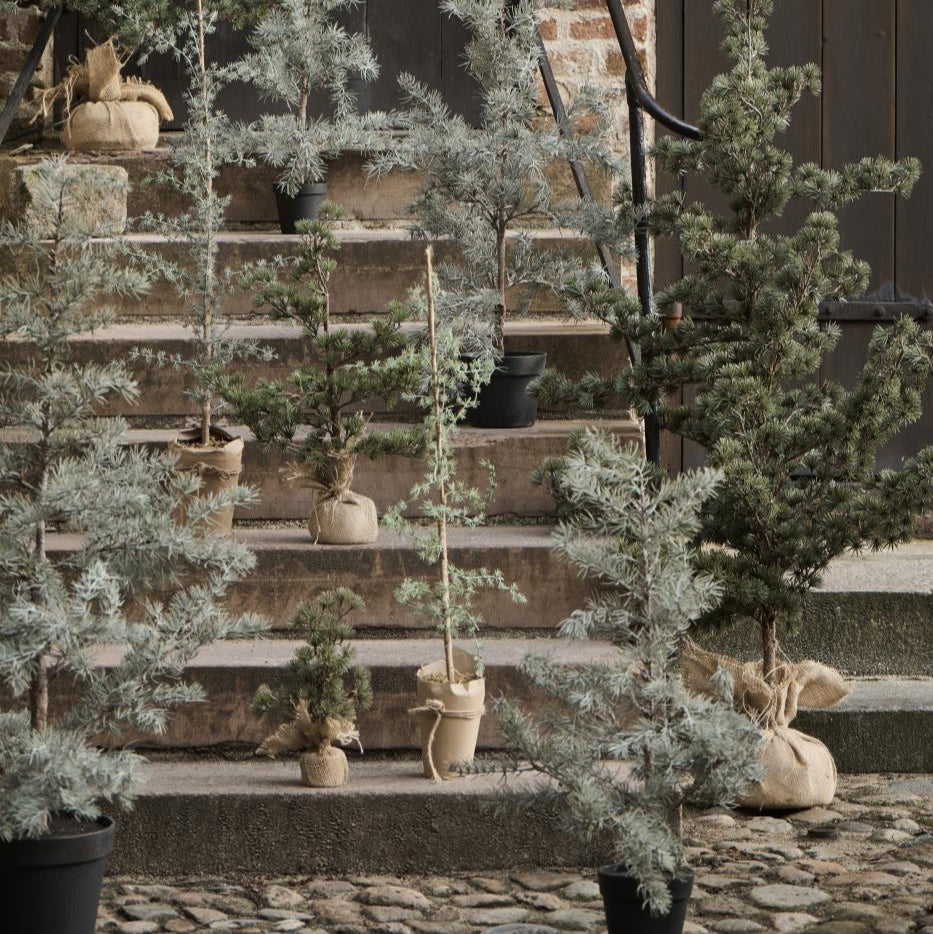 Zedernbaum künstlich mit Plastiktopf mittel - Ib Laursen