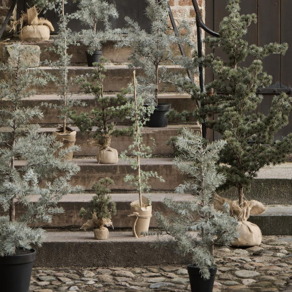 Zedernbaum künstlich mit Plastiktopf klein - Ib Laursen