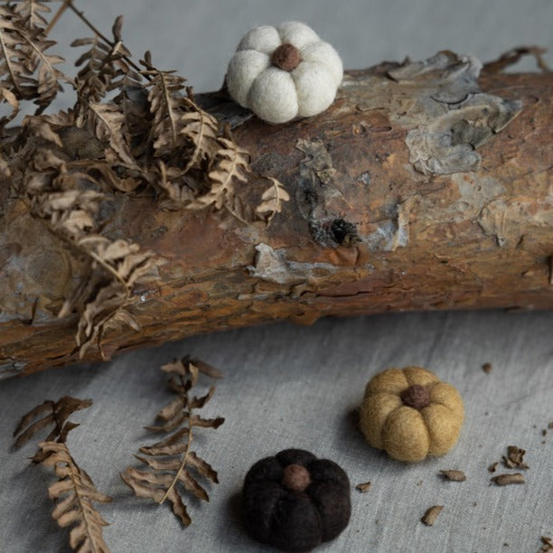 Dekoration Kürbis Haga - Storefactory