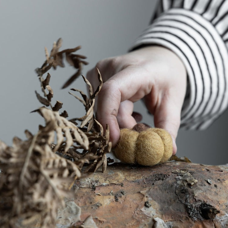 Dekoration Kürbis Haga - Storefactory