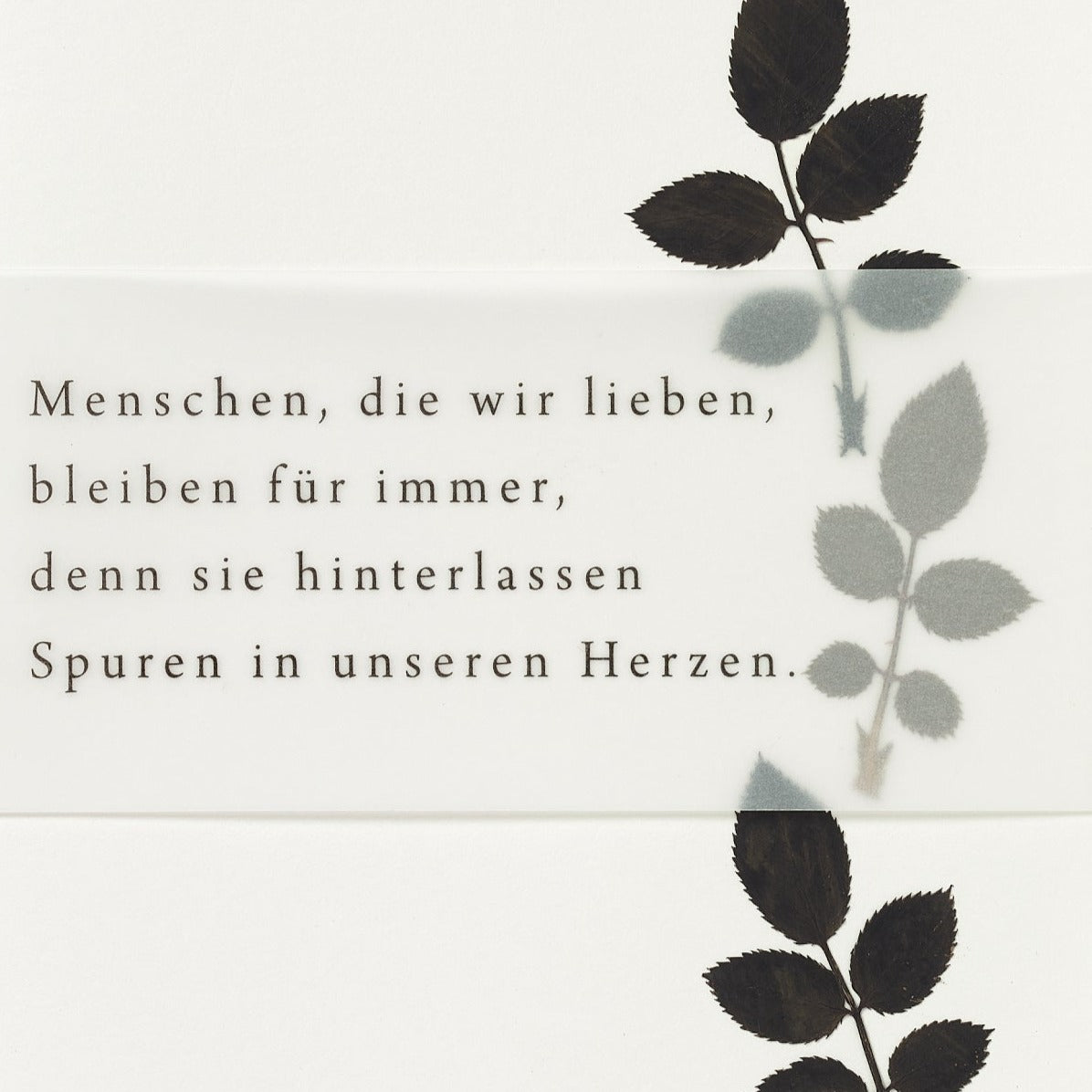 Weiße Trauerkarte "Blätter" - Räder