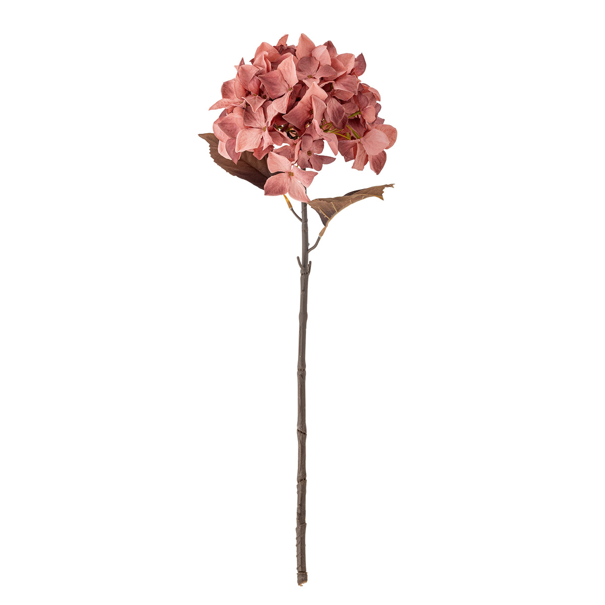 Hydrangea Stiel rose - Bloomingville