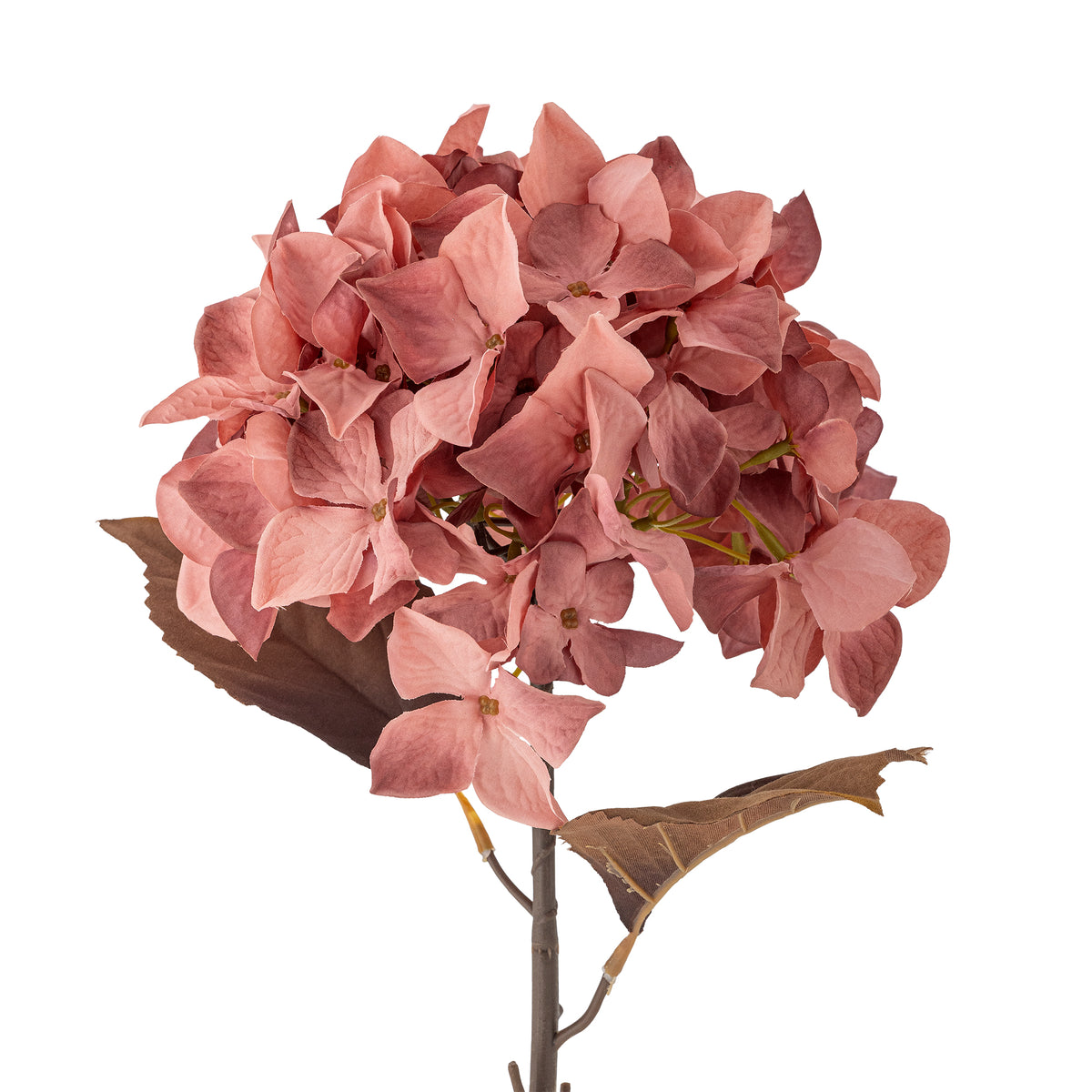Hydrangea Stiel rose - Bloomingville
