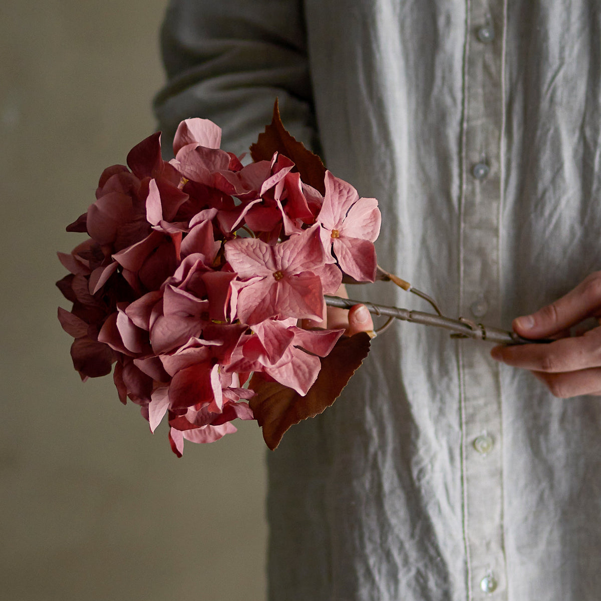 Hydrangea Stiel rose - Bloomingville