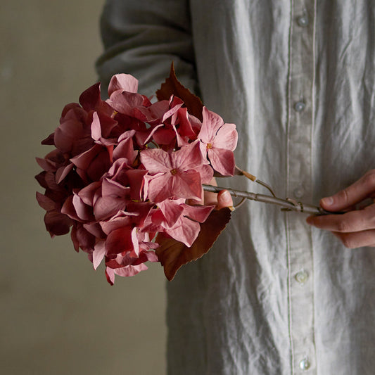 Hydrangea Stiel rose - Bloomingville