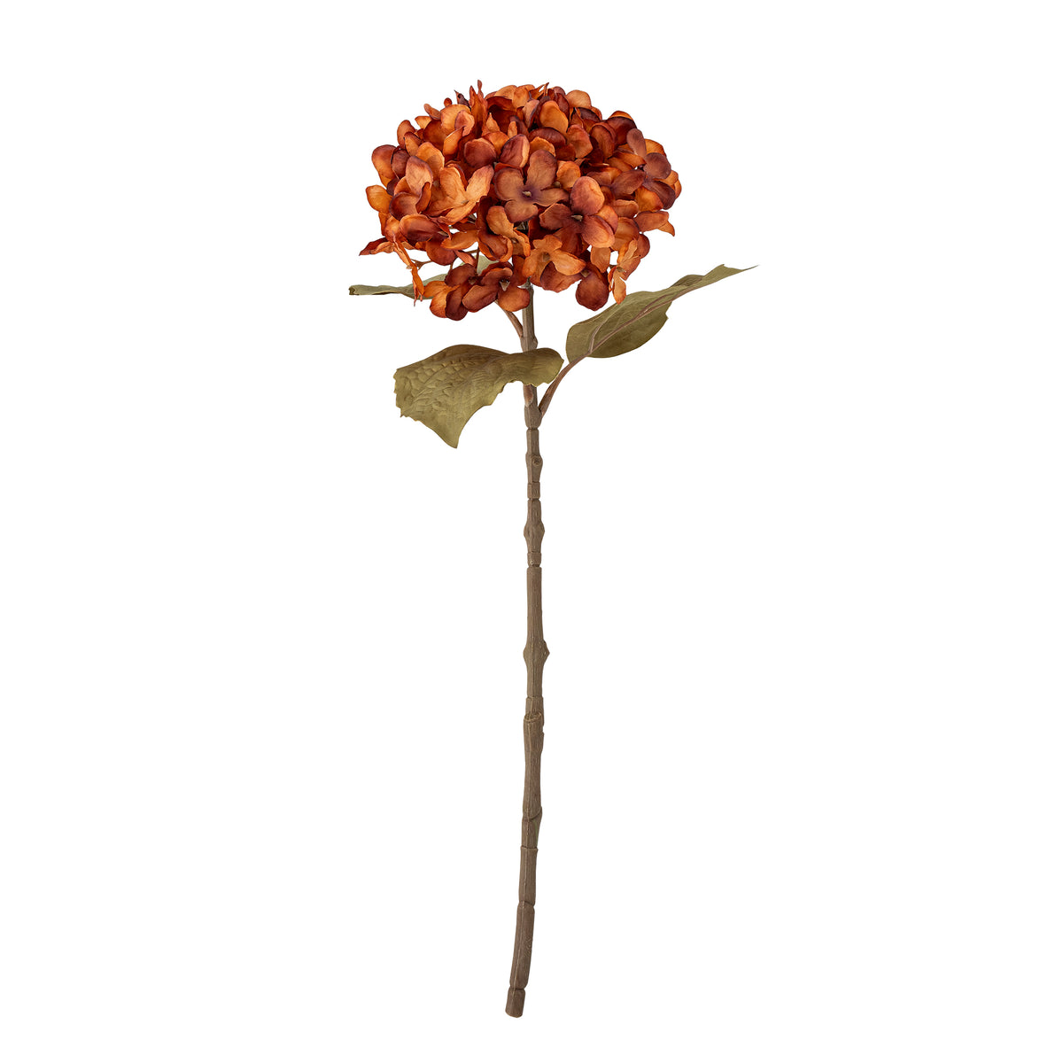 Hydrangea Stiel orange - Bloomingville