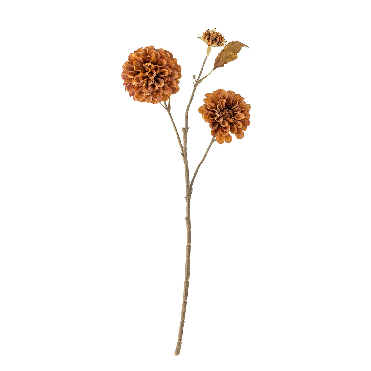 Chrysantemum Stiel orange - Bloomingville