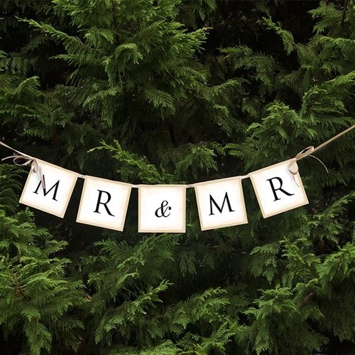 Girlande "Mr & Mr"