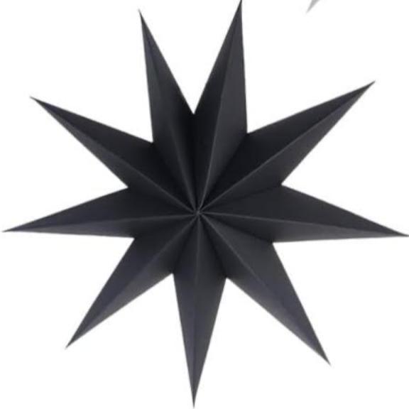 Papierstern schwarz klein