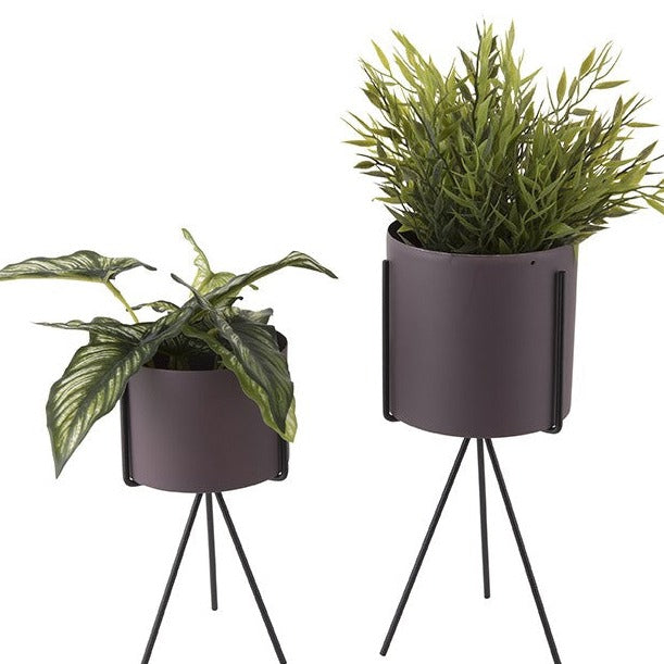 Pflanzentopf-Set - Present Time