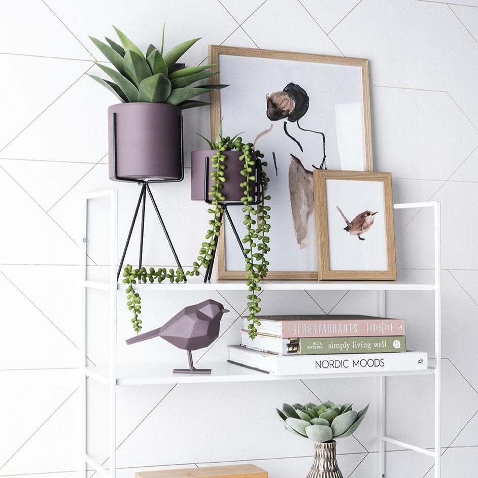 Pflanzentopf-Set - Present Time