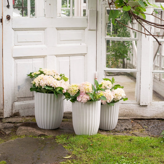 Yodit Topf Set - Wikholm Form