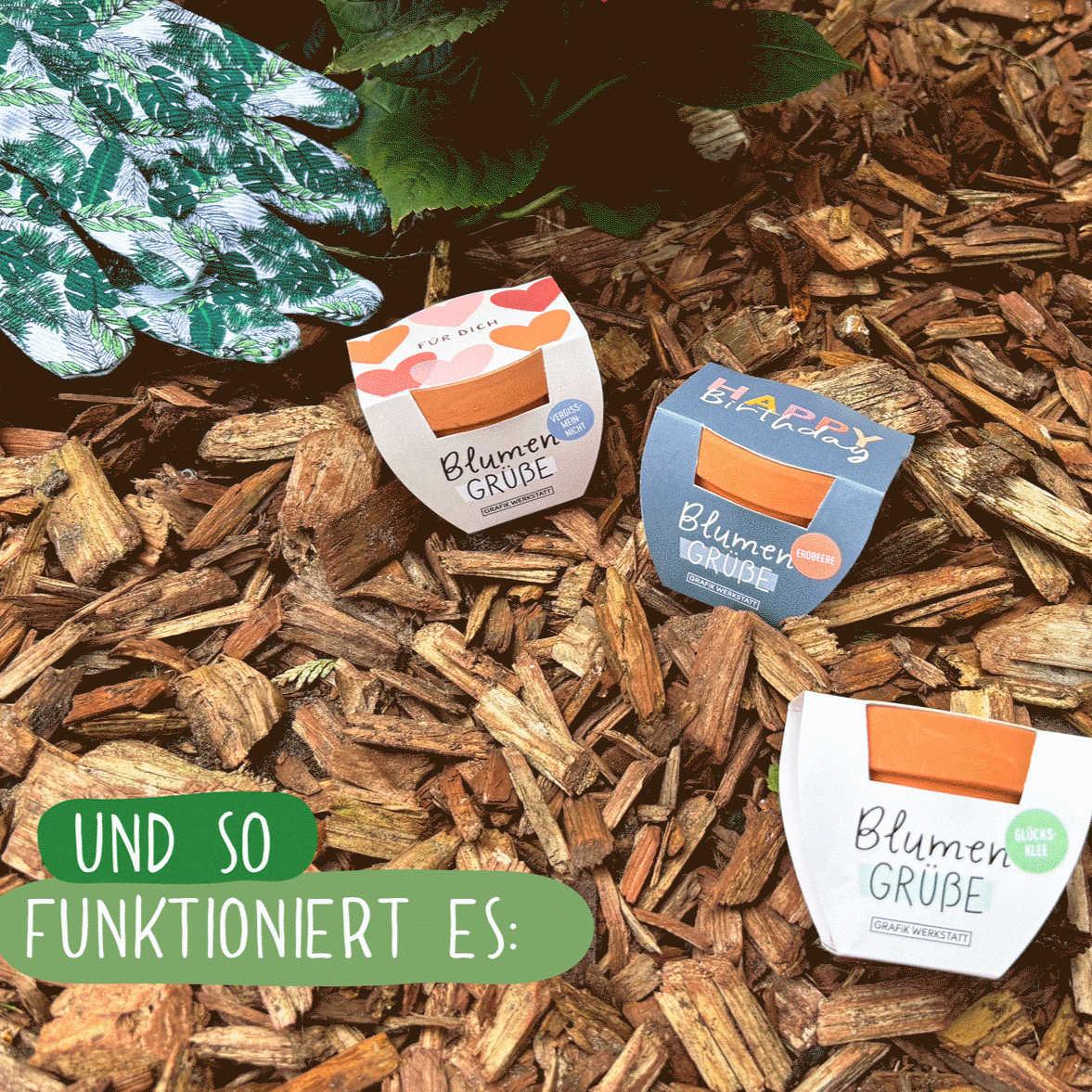 Blumengrüße Lieblingsmensch