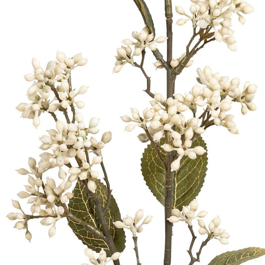 Blume Viburnumzweig creme