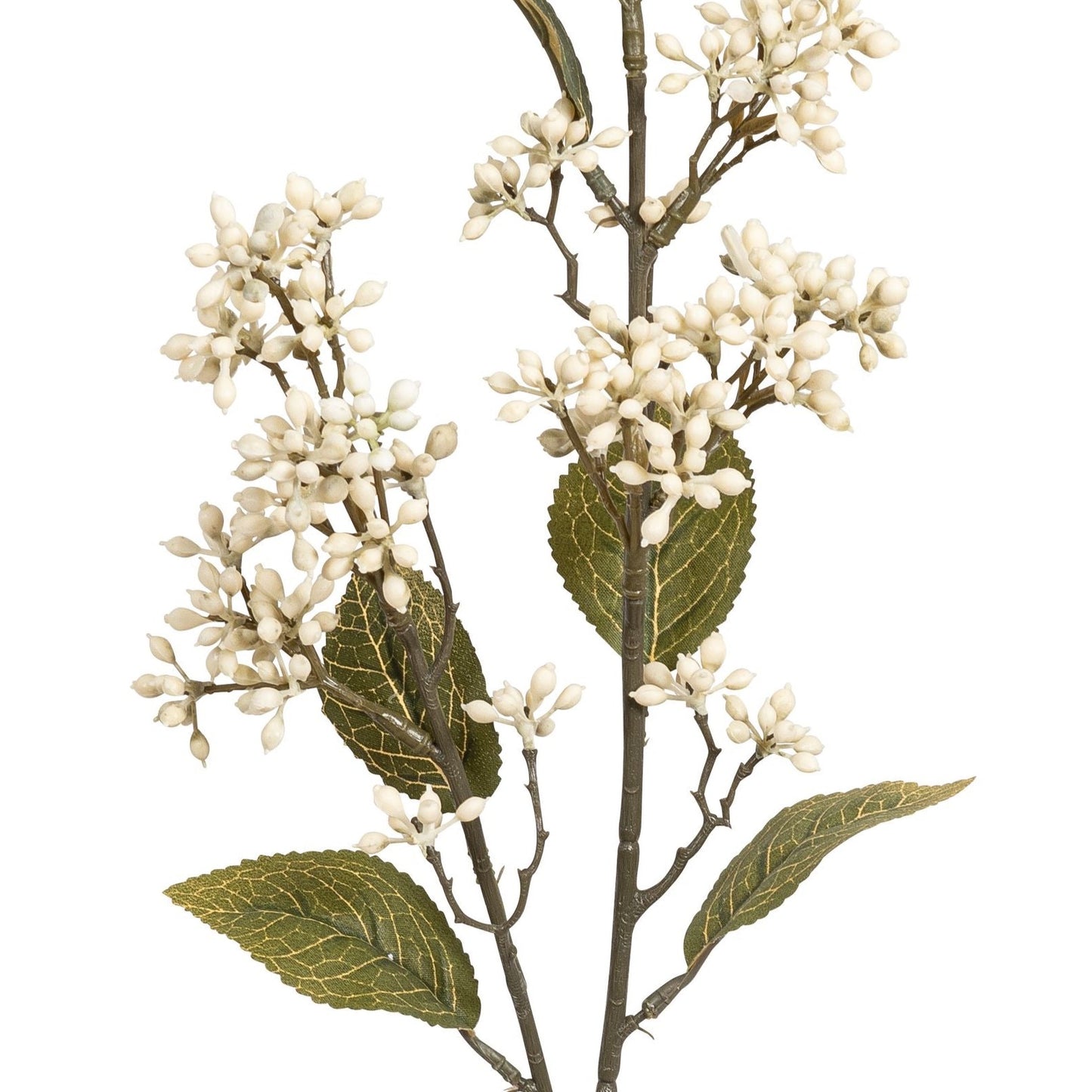 Blume Viburnumzweig creme