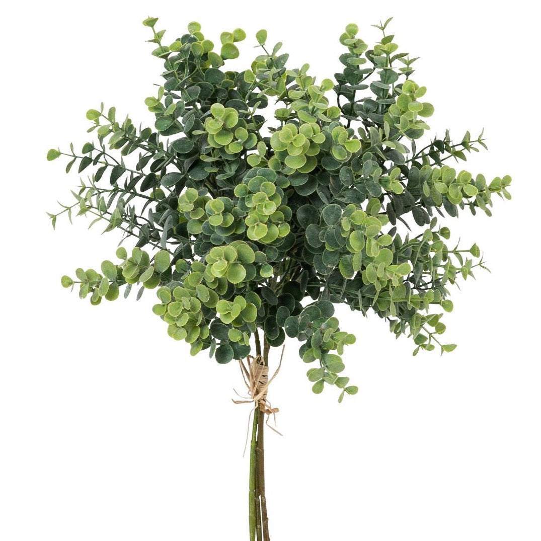 Blume Eukalyptusbund grün