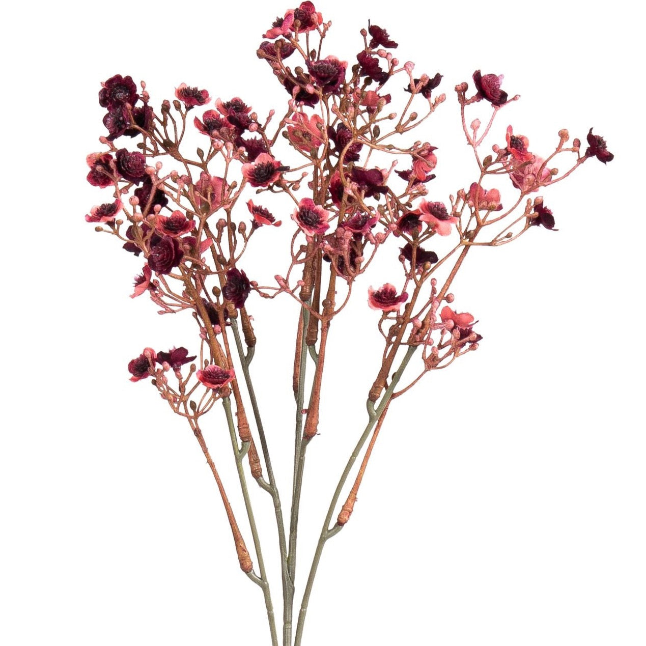 Blume Gypsophilazweig altrot