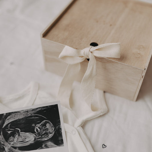 Erinnerungsbox Gänse - Eulenschnitt