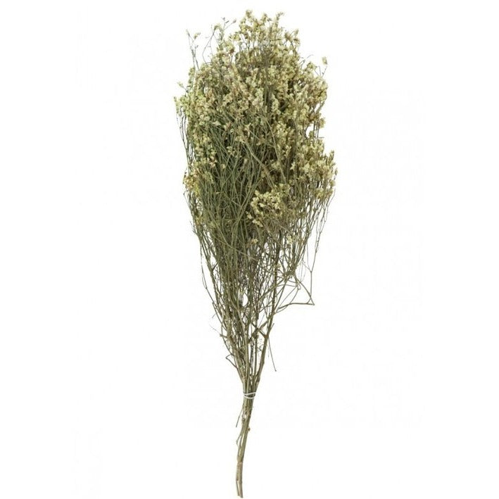 Trockenblumen "Statice natur"