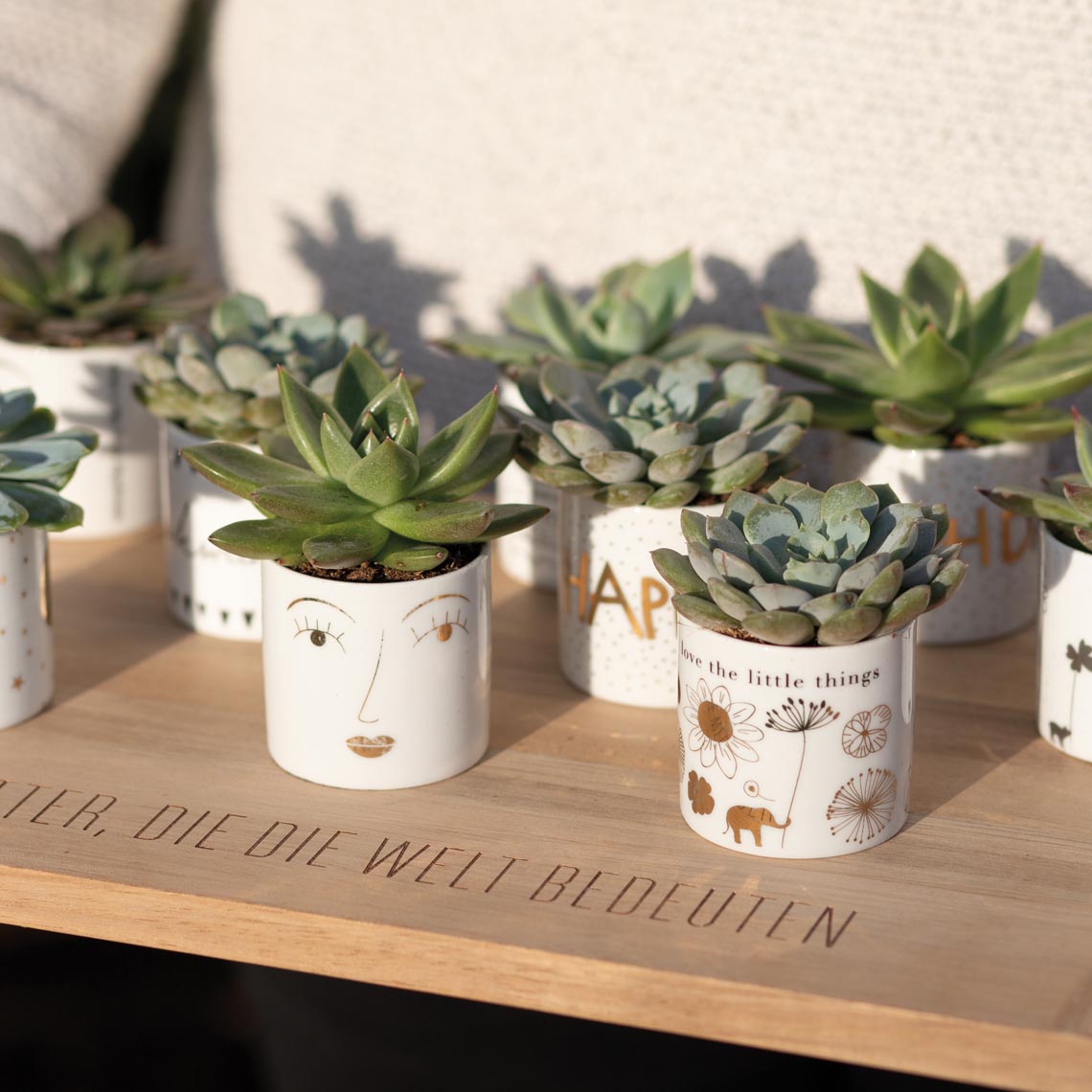 Helle Freude "Herzlichen Glückwunsch" - Räder