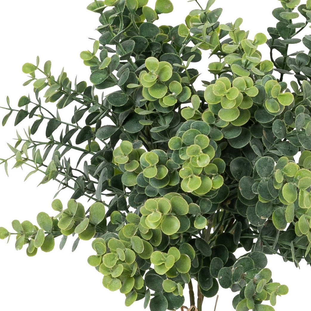 Blume Eukalyptusbund grün