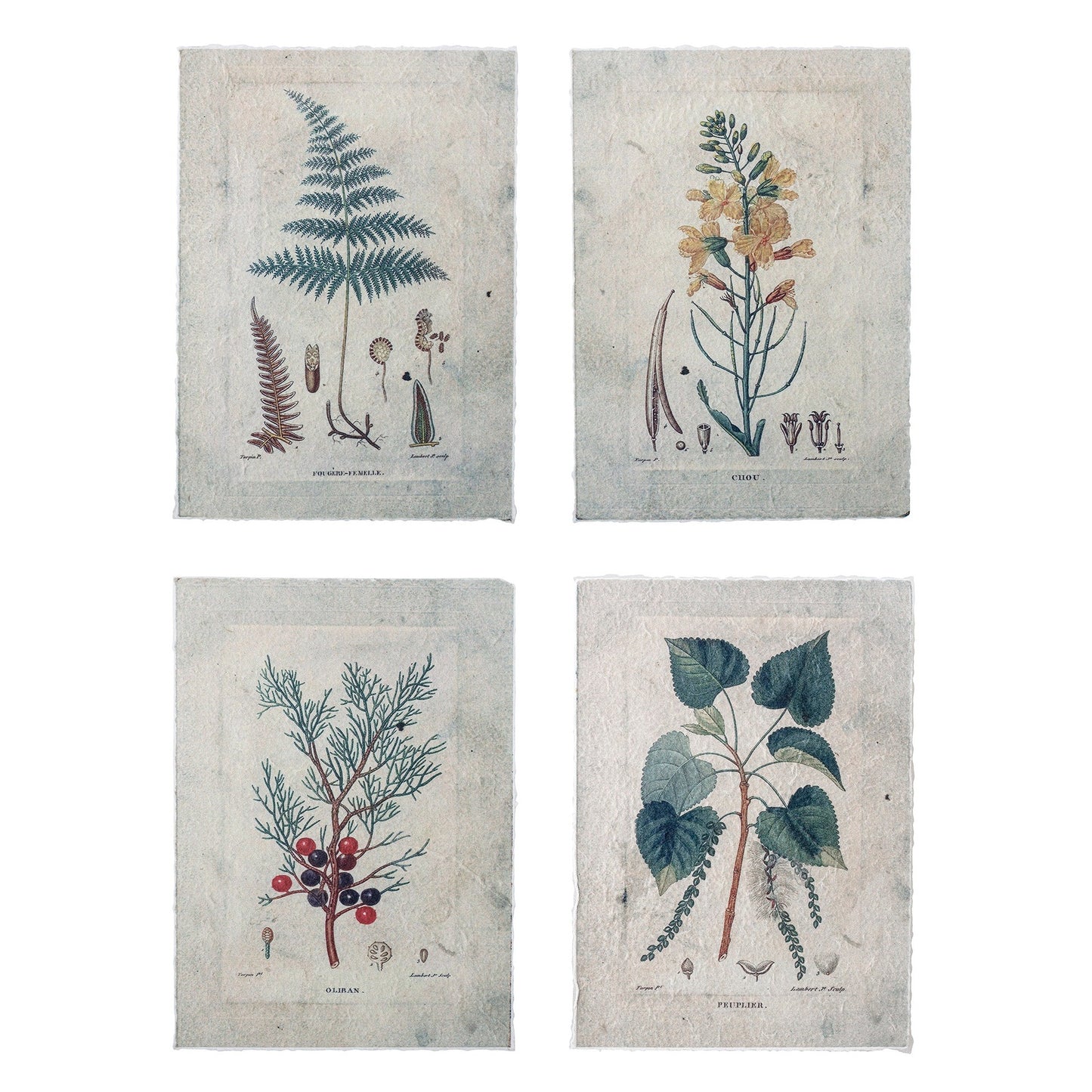 Poster Set green - Bloomingville